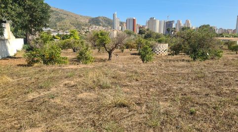 Foto 5 von Country house zum Verkauf in Rincón Bajo, Benidorm