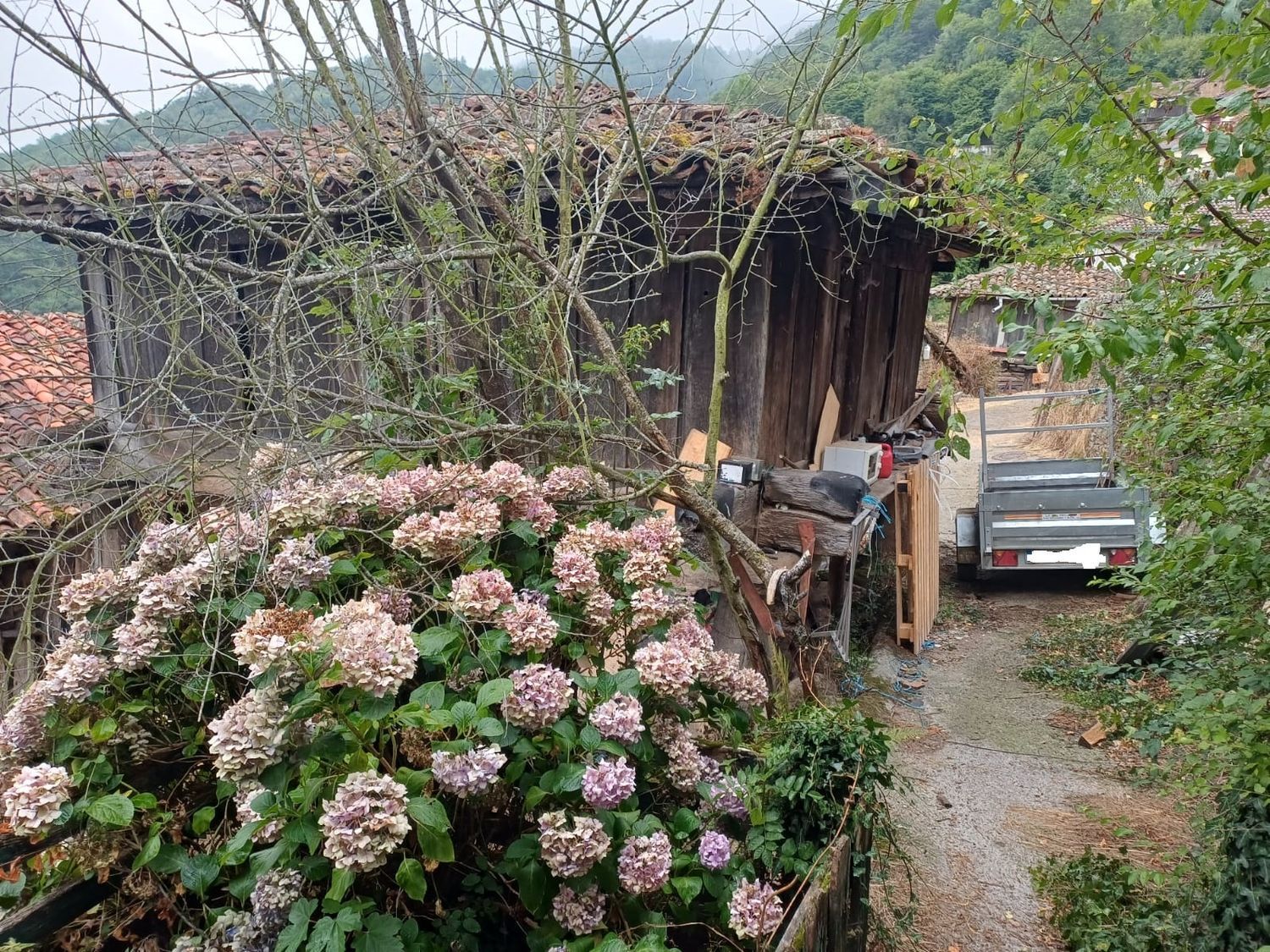 Jardí de Casa o xalet en venda en Quirós amb Traster i Piscina