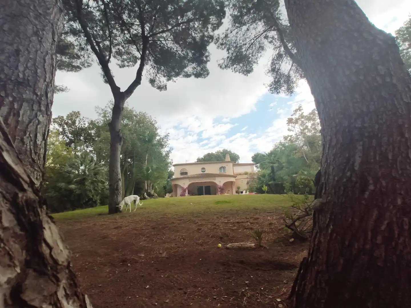 Chalet con terraza en venta en Calle de Moscú, imagen 59