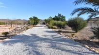 Vista exterior de Casa o xalet en venda en Cartagena amb Aire condicionat, Calefacció i Jardí privat