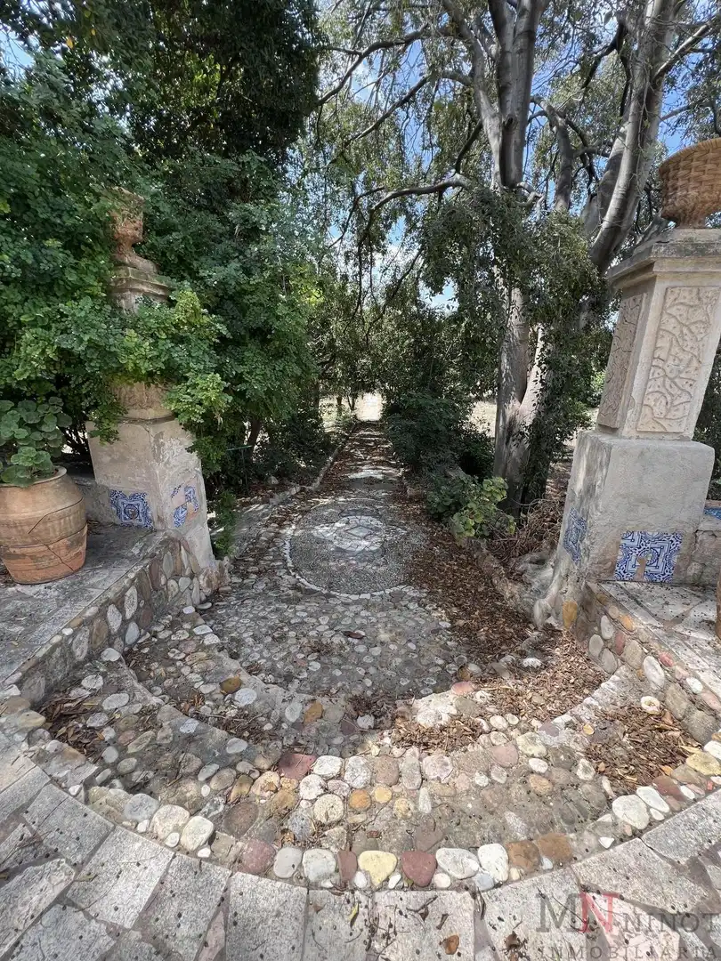 Vista exterior de Finca rústica en venta en Almazora / Almassora con Alarma