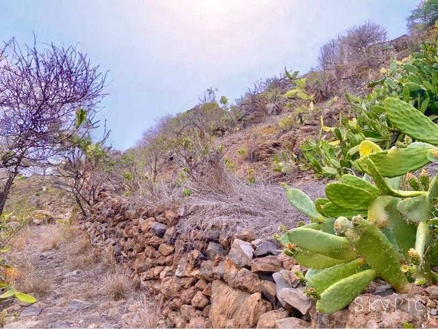 Finca rústica en Venta en Guía de Isora interior