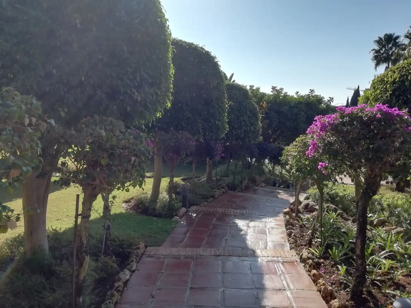Garten von Maisonette zum Verkauf in Marbella mit Klimaanlage, Terrasse und Abstellraum