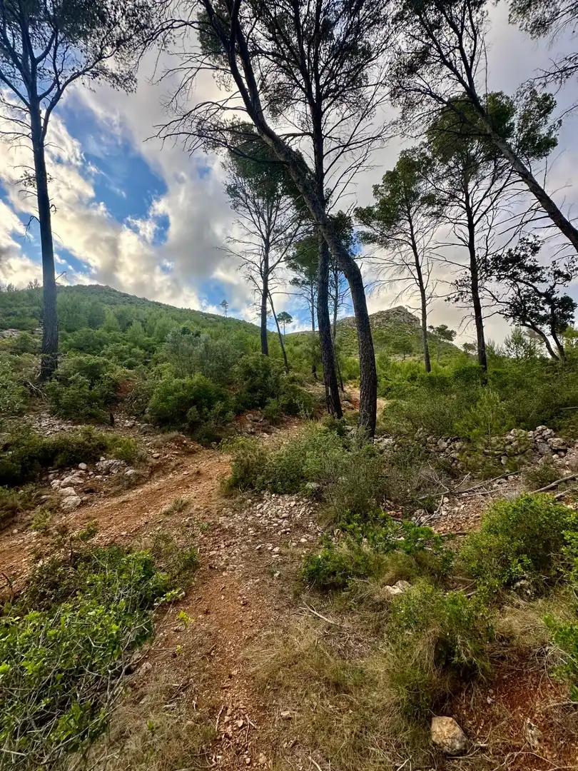 Grundstücke zum Verkauf in S'Arracó