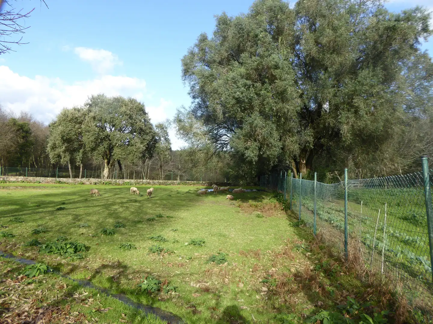 Country house zum Verkauf in Tui mit Klimaanlage, Heizung und Privatgarten