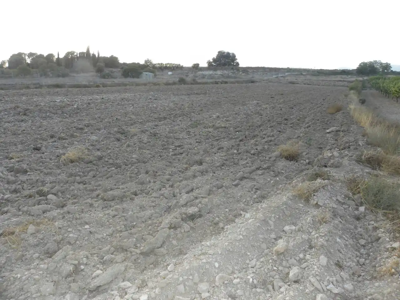Residential land for sale in Caravaca de la Cruz, imagen 6