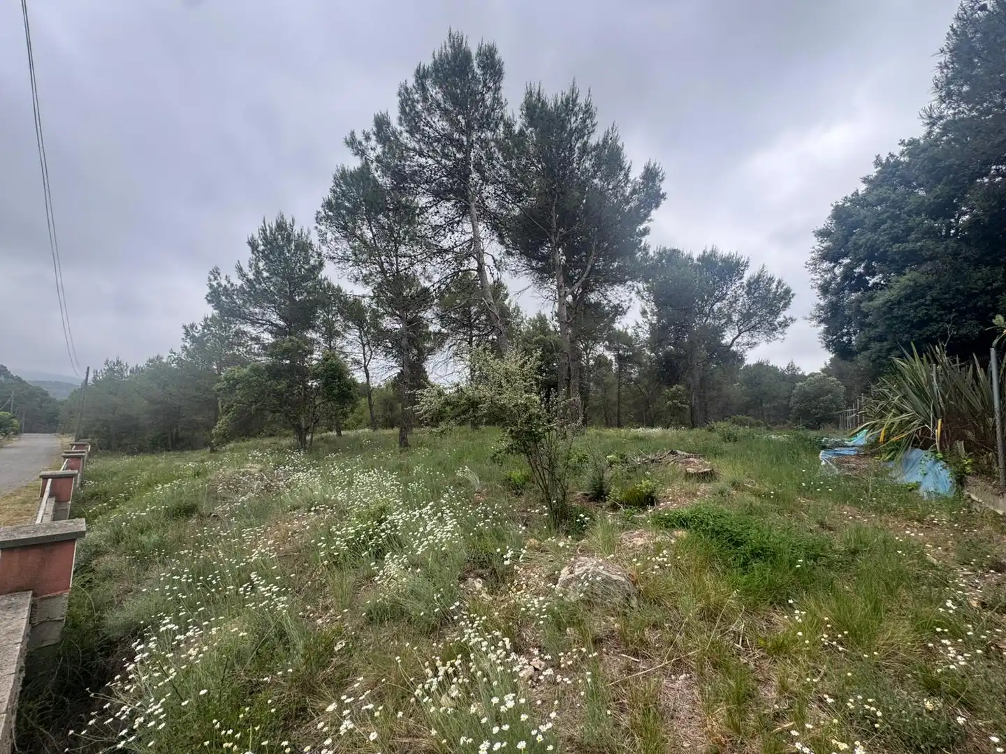 Terreno residenziale in vendita a Avinguda del Bosc, imagen 9