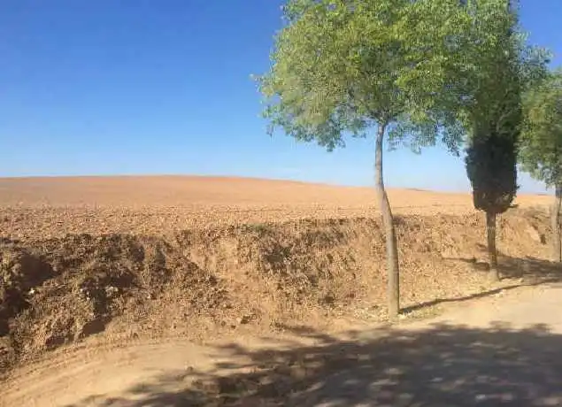 Terreno en venta en Guadalajara