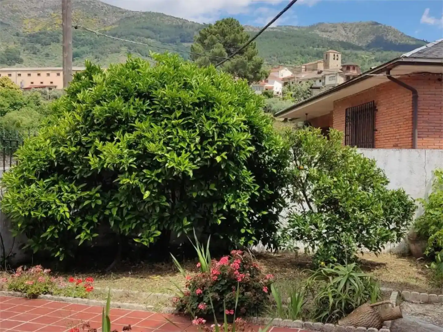 Jardín de Casa o chalet en venta en San Esteban del Valle con Jardín privado