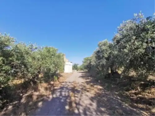 Terreny rústic en venda a Baza, imagen 5