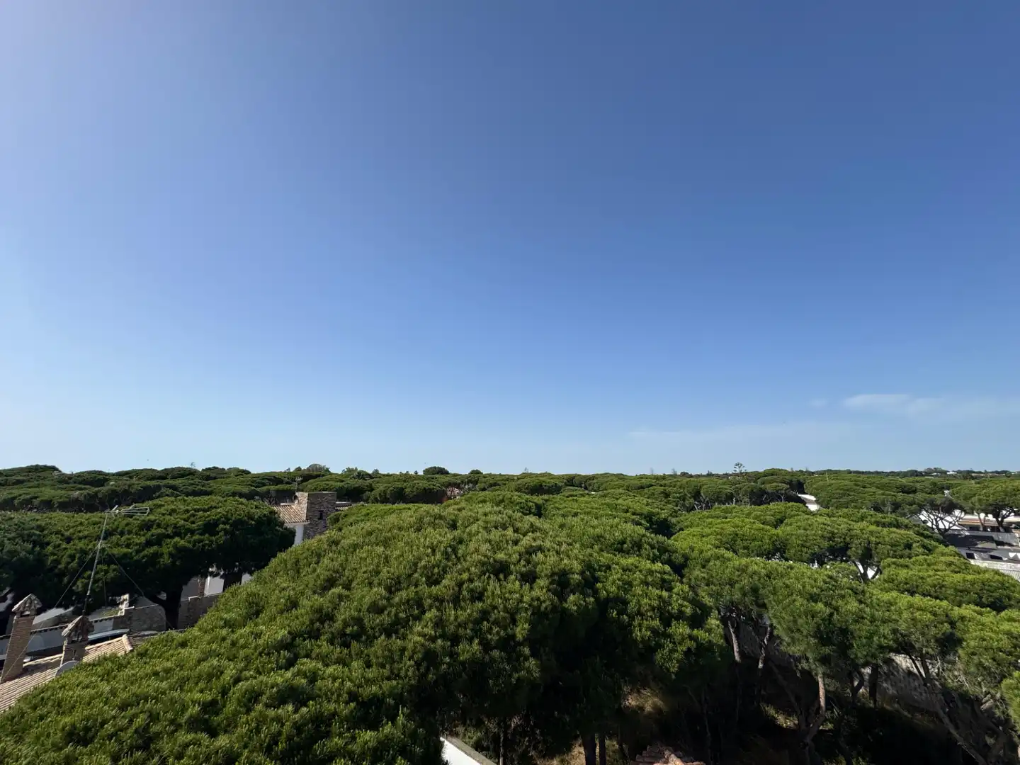 Chalet en venta en La Barrosa, imagen 32