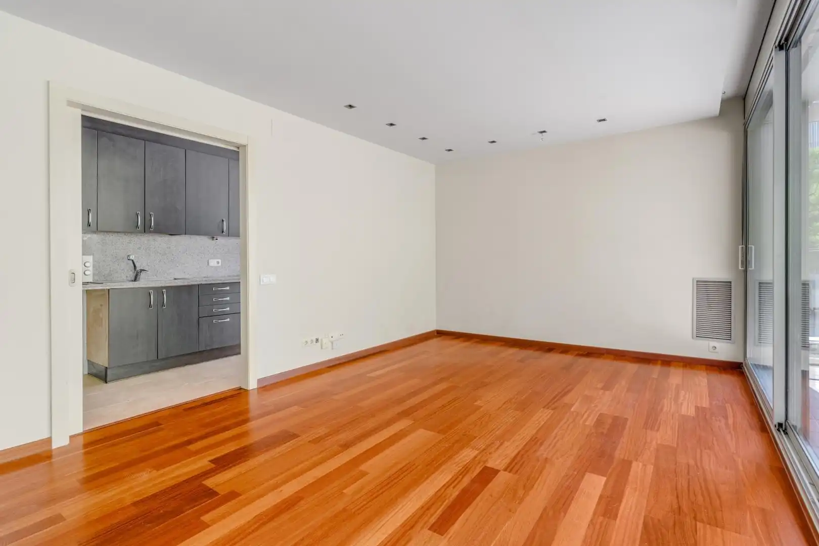 Sala de estar de Piso en venta en Sant Adrià de Besòs con Aire acondicionado, Calefacción y Jardín privado