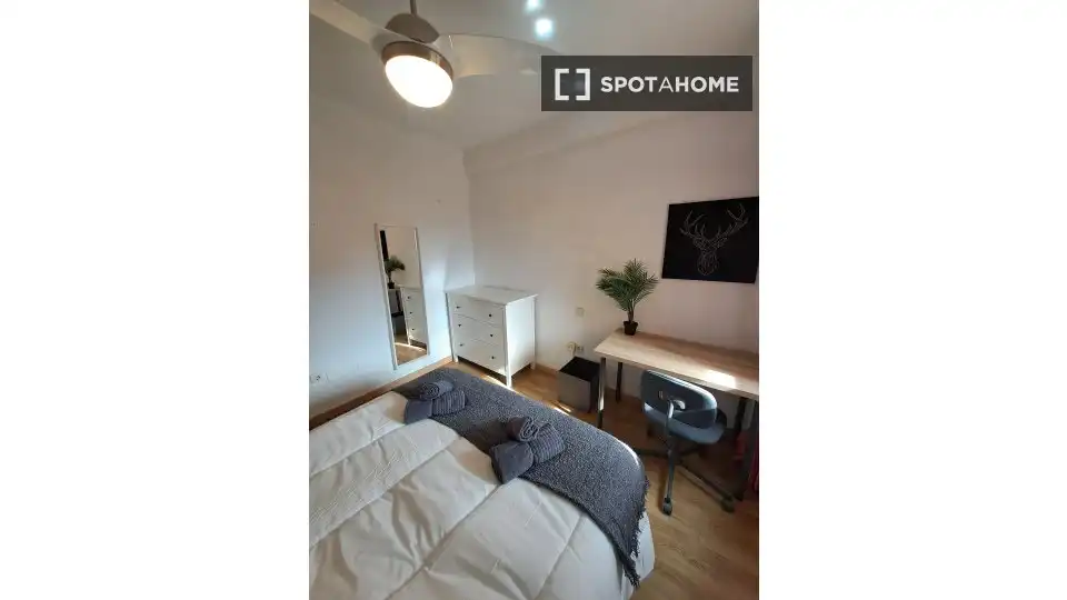 Room in Palacio