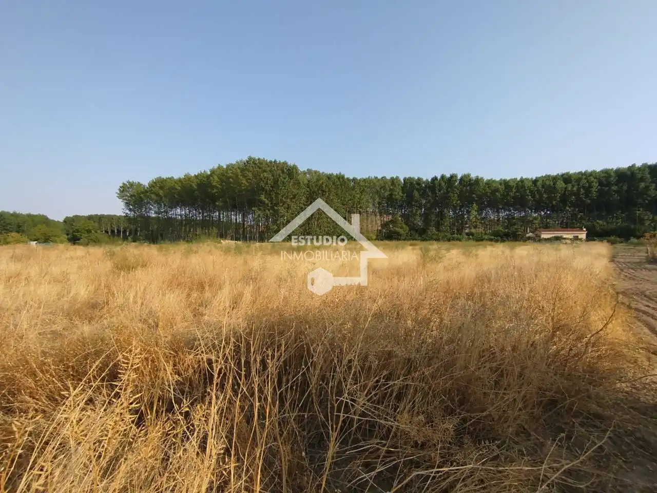 Rural land for sale in Viana, imagen 14