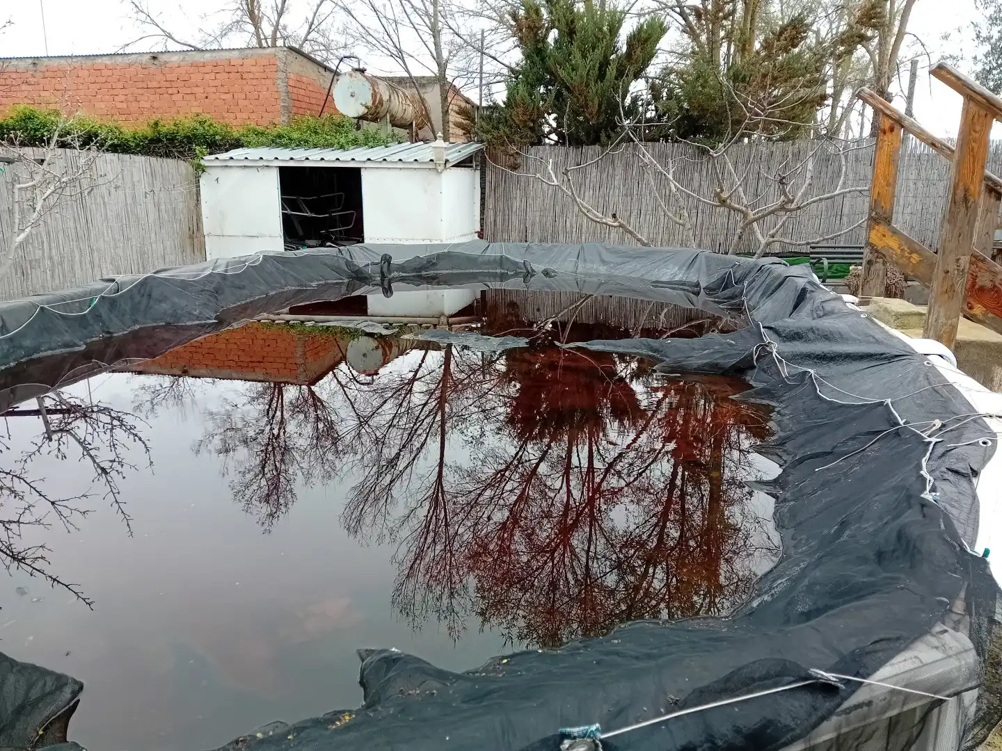 Swimming pool of Houses for sale in Ciudad Real  with Air Conditioner, Heating and Private garden