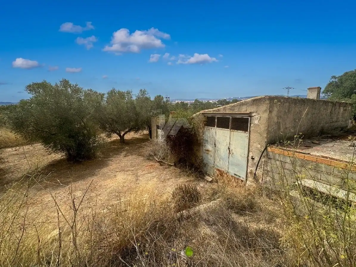 Lands and plots for sale in Teulada, imagen 9