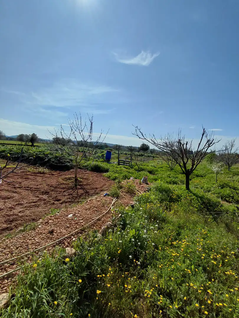 Terreno rústico en venta en Banyeres del Penedès, imagen 8