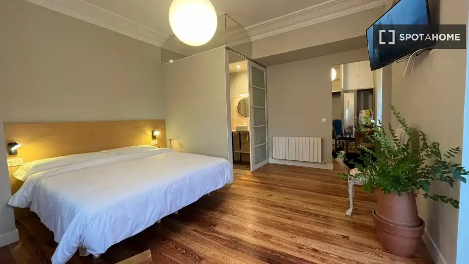 Bedroom of Flat for share in Donostia - San Sebastián   with Air Conditioner, Heating and Furnished