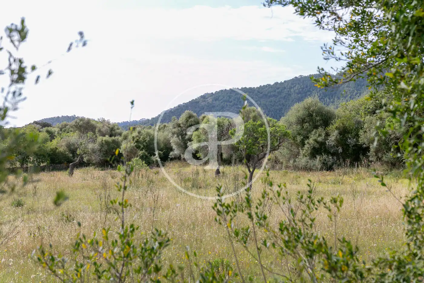 Terreny residencial en venda a Av. Montferrutx, imagen 34