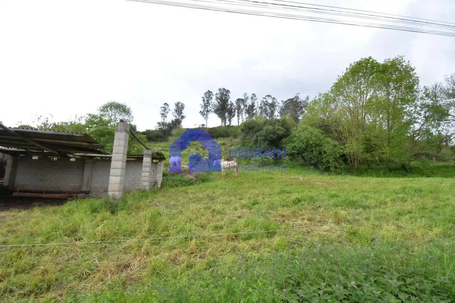Casa o chalet en venta en Oviedo  con Trastero