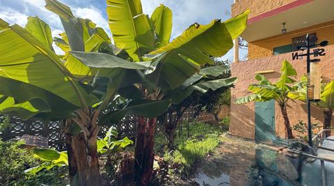 Foto 2 de Casa o chalet en venta en Calle Lomo Guzman, 7, Santa María de Guía de Gran Canaria, Las Palmas