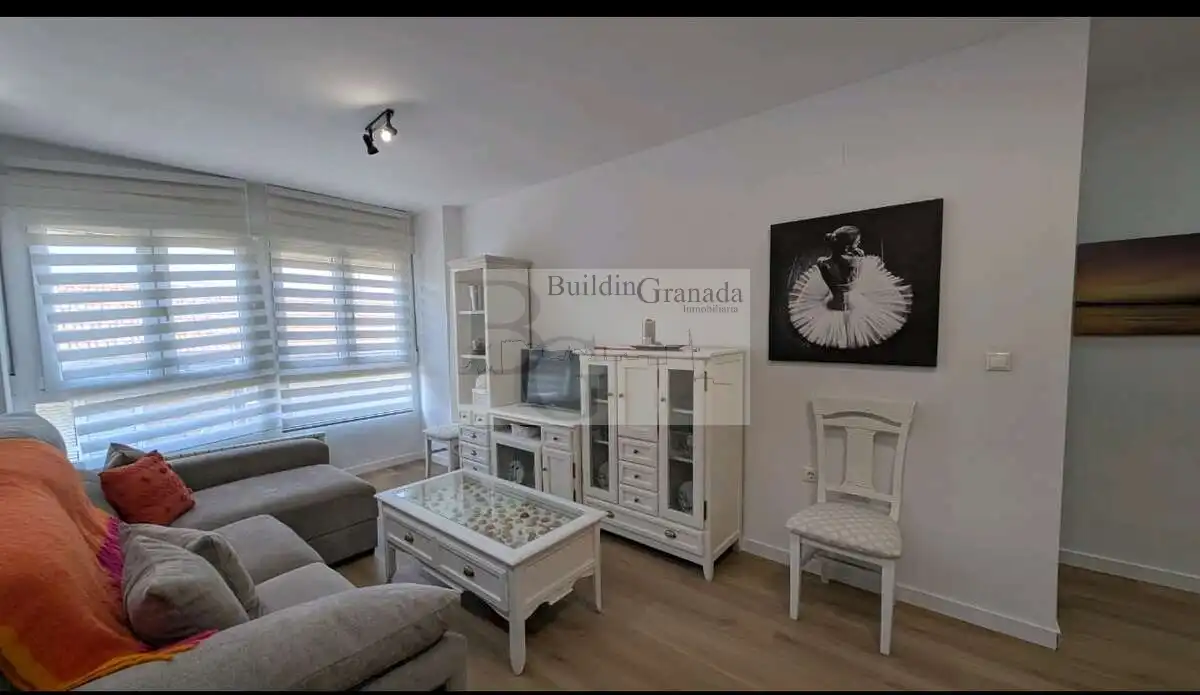 Living room of Flat for rent in Granada  with Heating, Furnished and Balcony