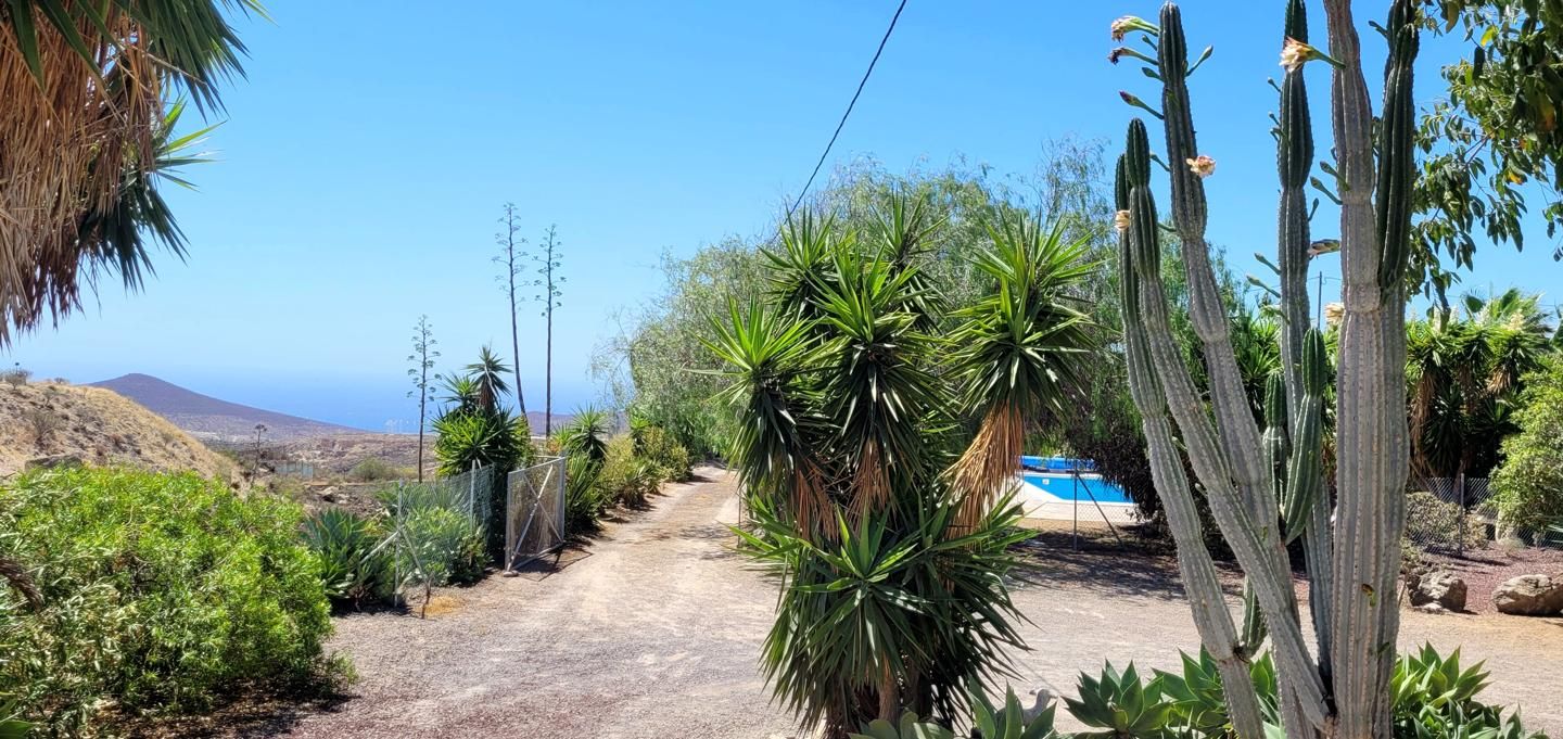 Vista exterior de Casa o xalet en venda en Granadilla de Abona amb Aire condicionat, Terrassa i Piscina