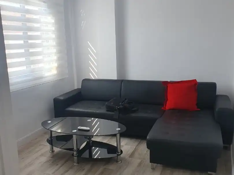 Sala d'estar de Pis de lloguer en Quatre Carreres