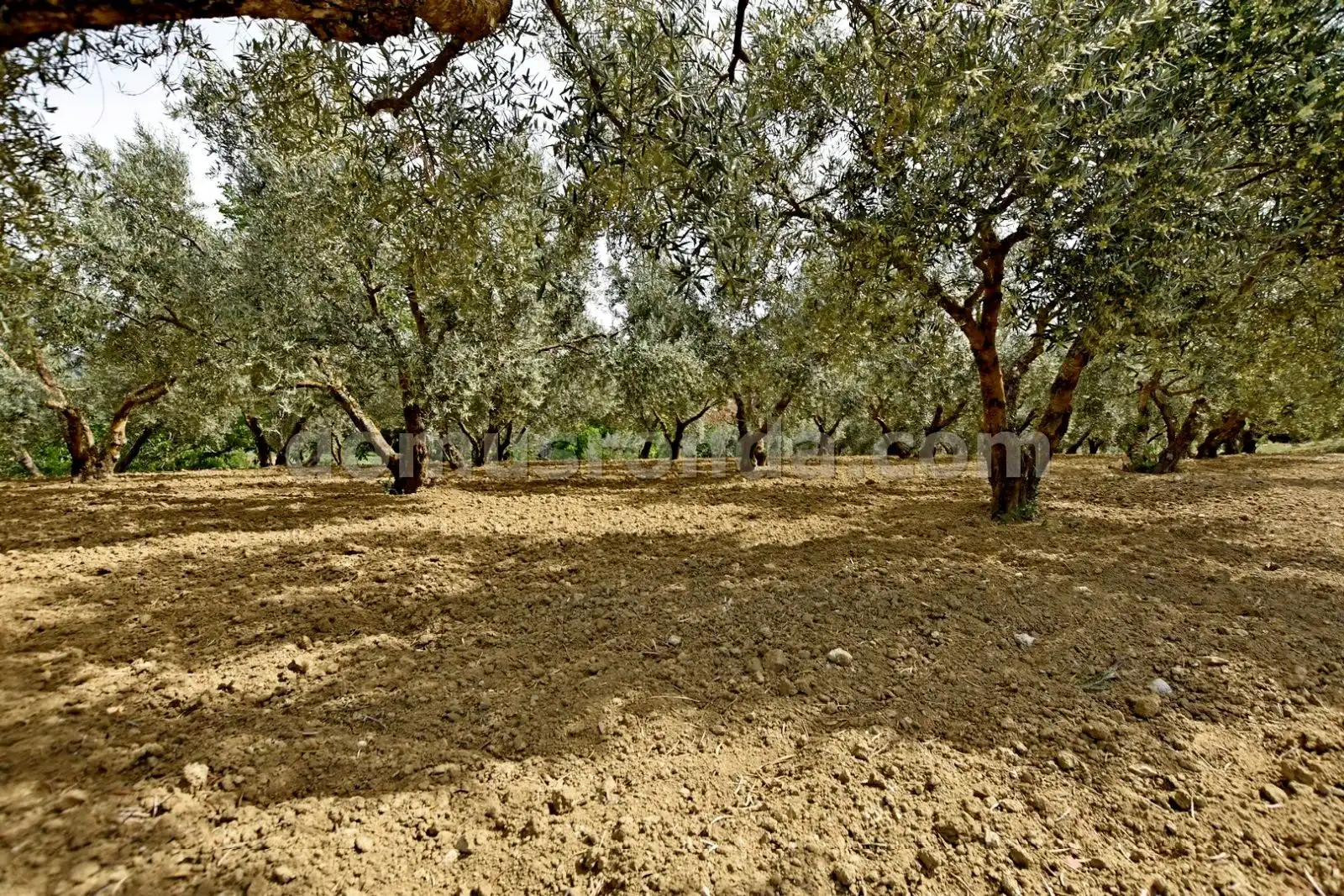 Country homes for sale in Ronda  with Terrace, Storage room and Swimming Pool