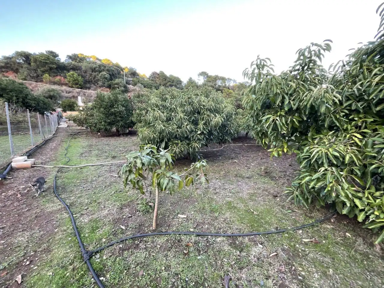 Finca rústica en venda en Estepona amb Aire condicionat, Calefacció i Jardí privat