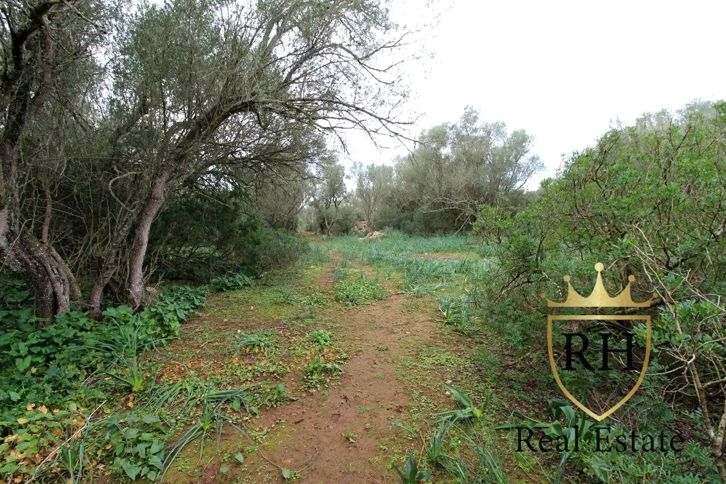 Lands and plots for sale in POLIGONO 49 PARCELA 3, imagen 13