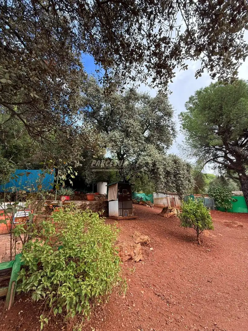 Haus mit Pool zum Verkauf in Periurbano Oeste - Sierra, imagen 5
