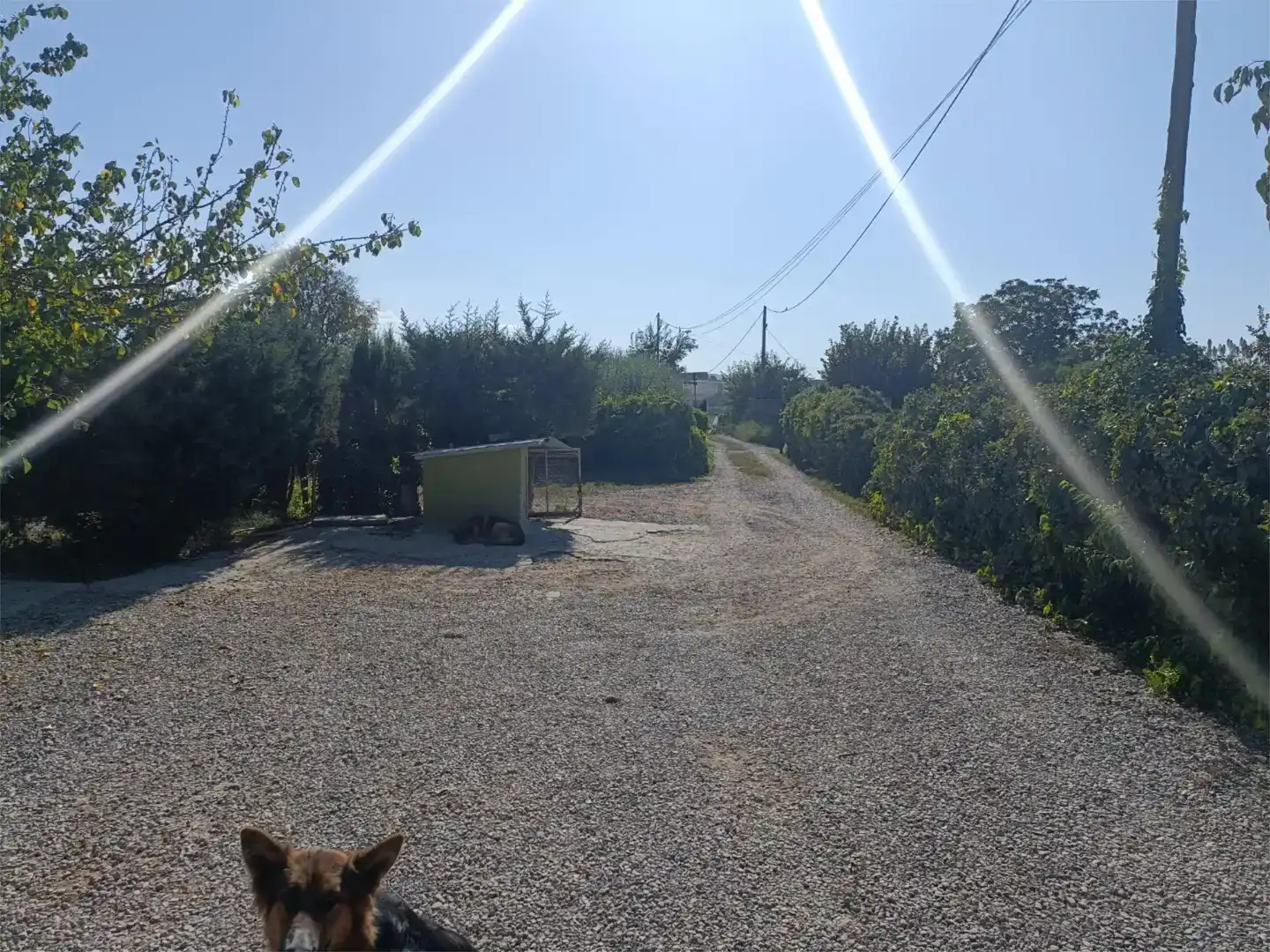 Finca rústica en venta en Les Borges Blanques con Aire acondicionado y Piscina