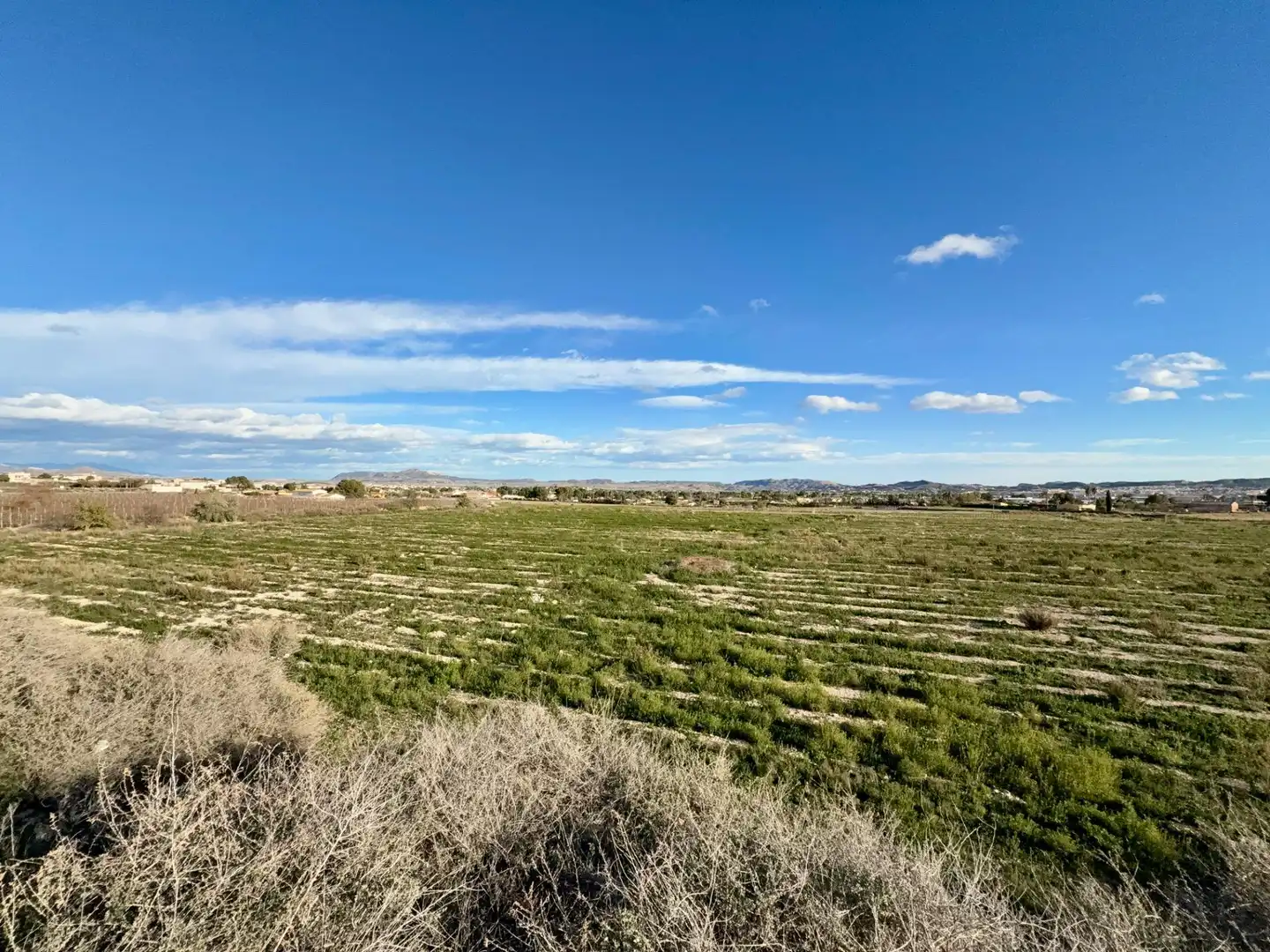 Rural land for sale in Novelda, imagen 2