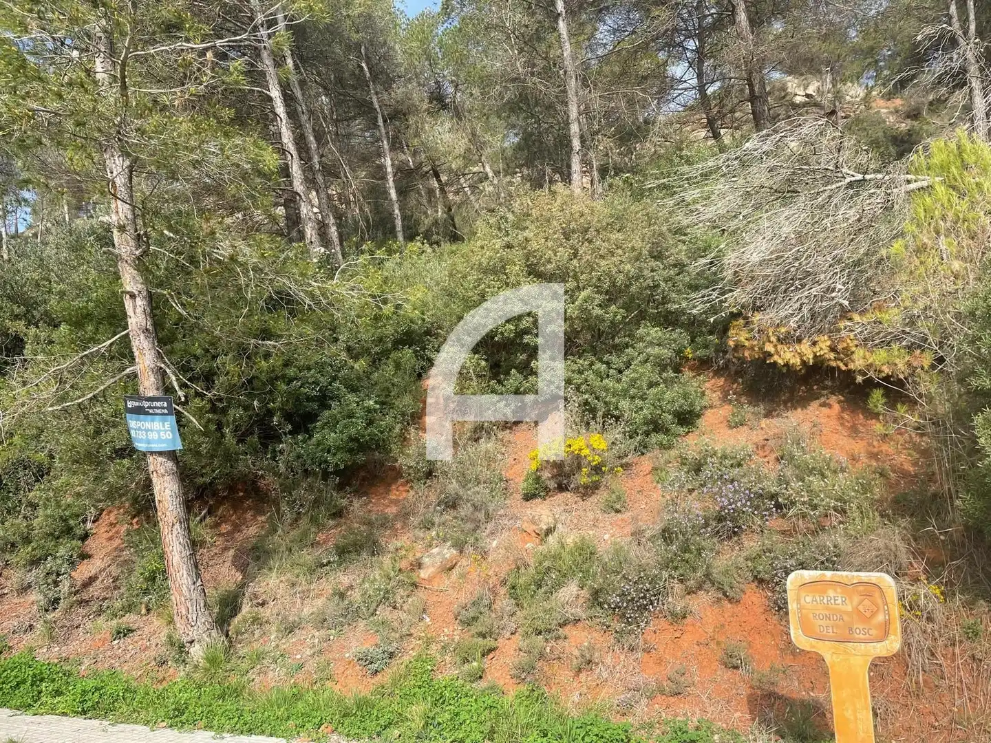 Rural land for sale in Ronda del Bosc