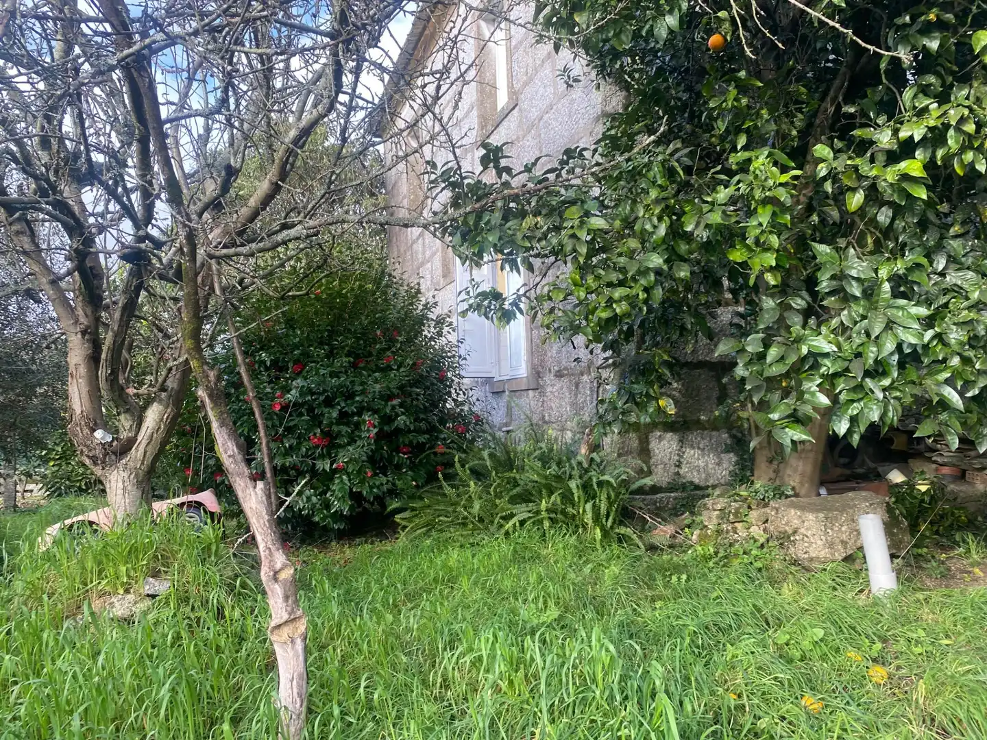Jardín de Casa o chalet en venta en Caldas de Reis con Jardín privado