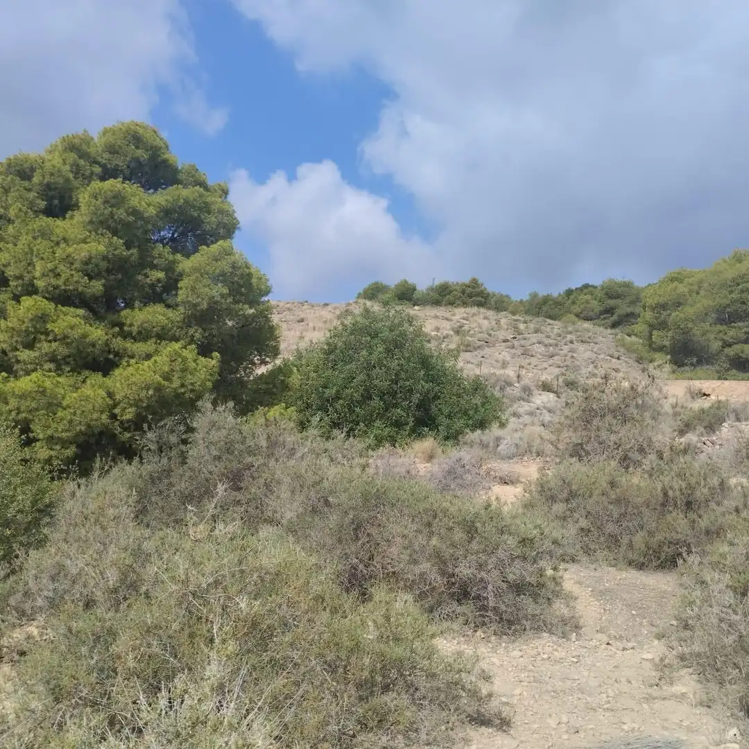 Residencial en venta en Totana