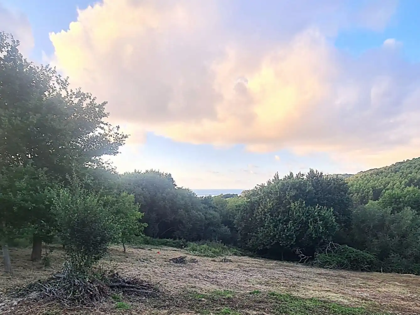Terreno en venta en Bakio