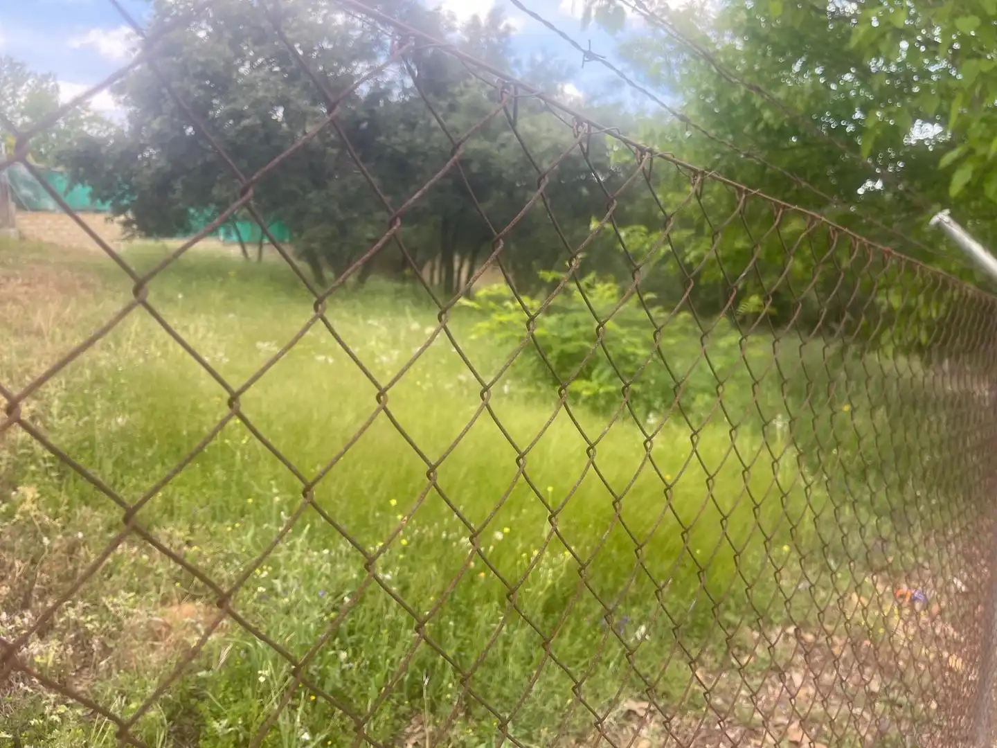 Terrain résidentiel à vendre à Calle ALAMO, imagen 7