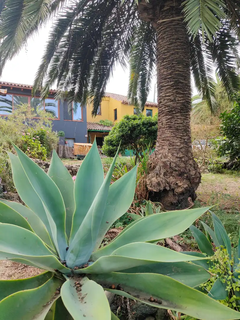 Maison rustique avec piscine à vendre à Carretera las Llanadas, imagen 46