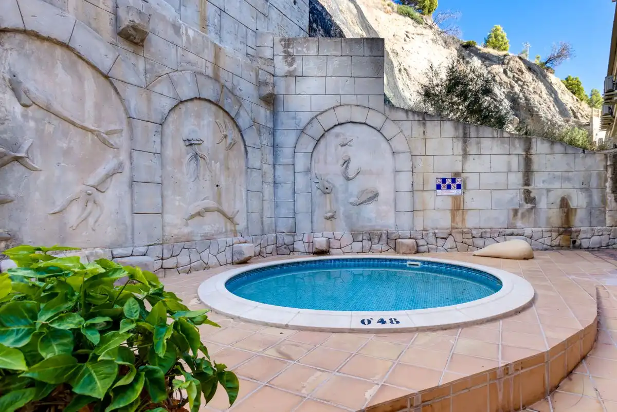 Mini appartamento con piscina in affitto a Currica 29, imagen 31
