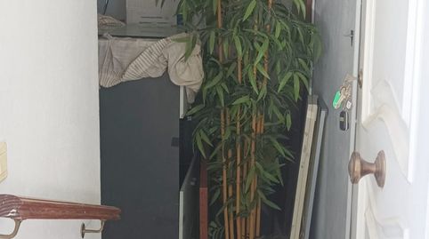 Foto 4 von Geschaftsraum zum Verkauf in Calle de Valdepeñas, Viña Málaga, Vélez-Málaga