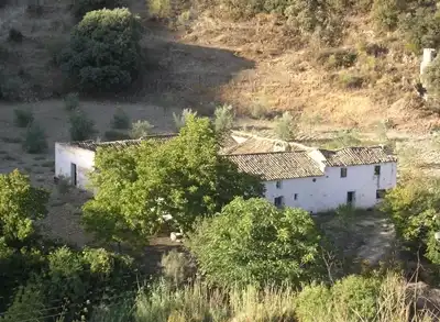 Terreny rústic en venda a Priego de Córdoba, imagen 4