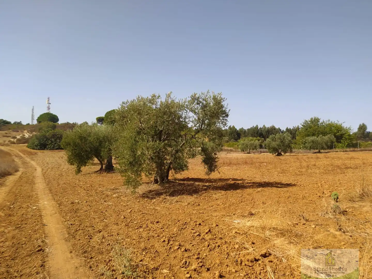 Finca rústica en venda a Villarrasa
