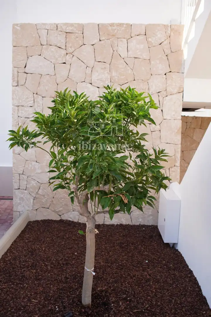 Piso de alquiler en Ctra. de Cala Gració, 9, Sant Antoni de Portmany, , Sant Antoni de Portmany