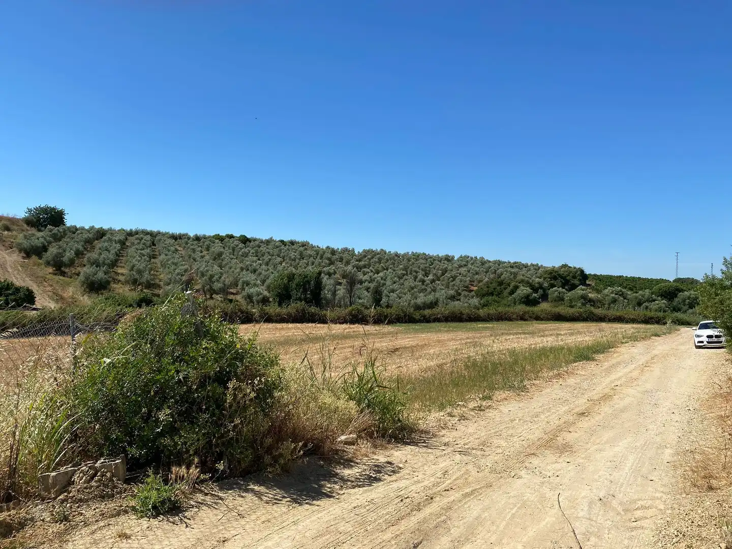 Terreno rustico in vendita a Alcolea del Río, imagen 3