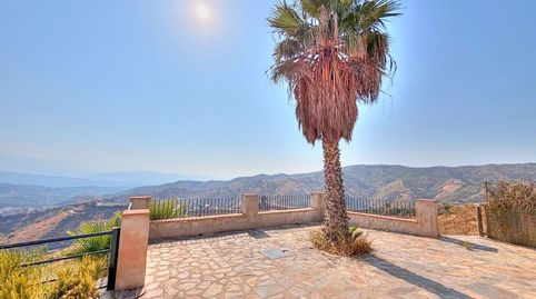 Foto 4 de Finca rústica en venda a Almáchar, Málaga