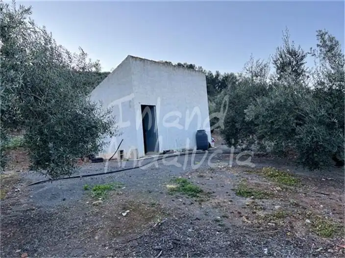 Terreni e lotti in vendita a Alcaudete, imagen 3