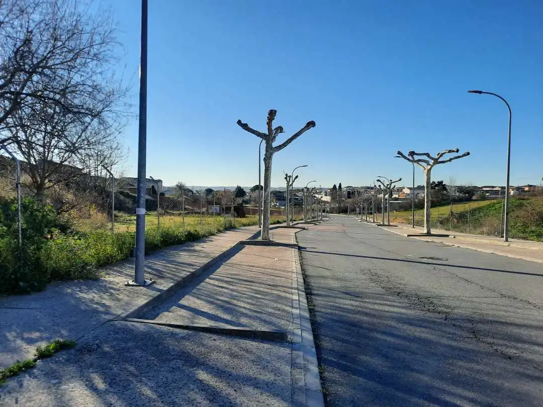 Terrenys i solars en venda a Escalona, imagen 9