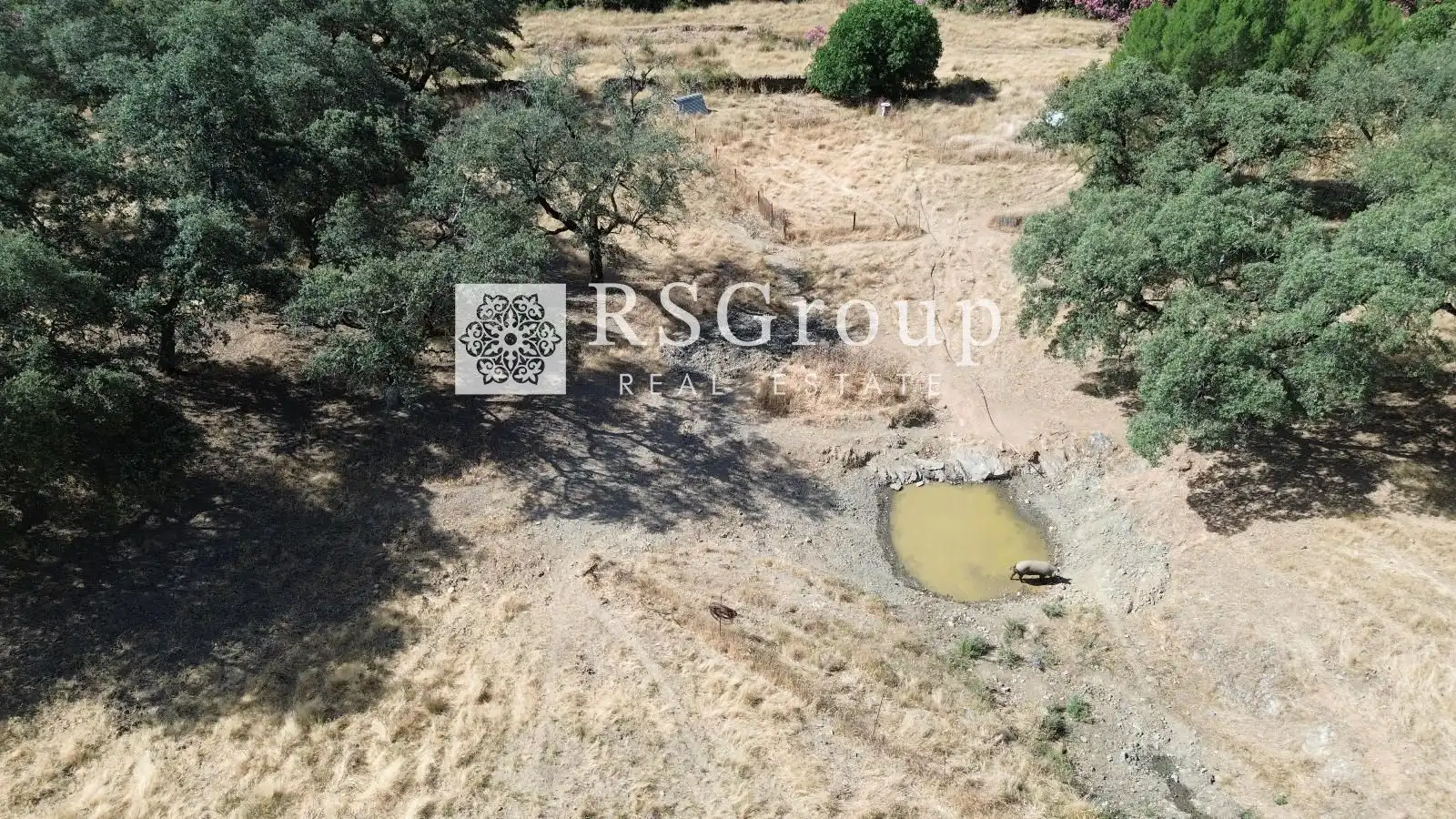 Terreno en venta en Almadén de la Plata